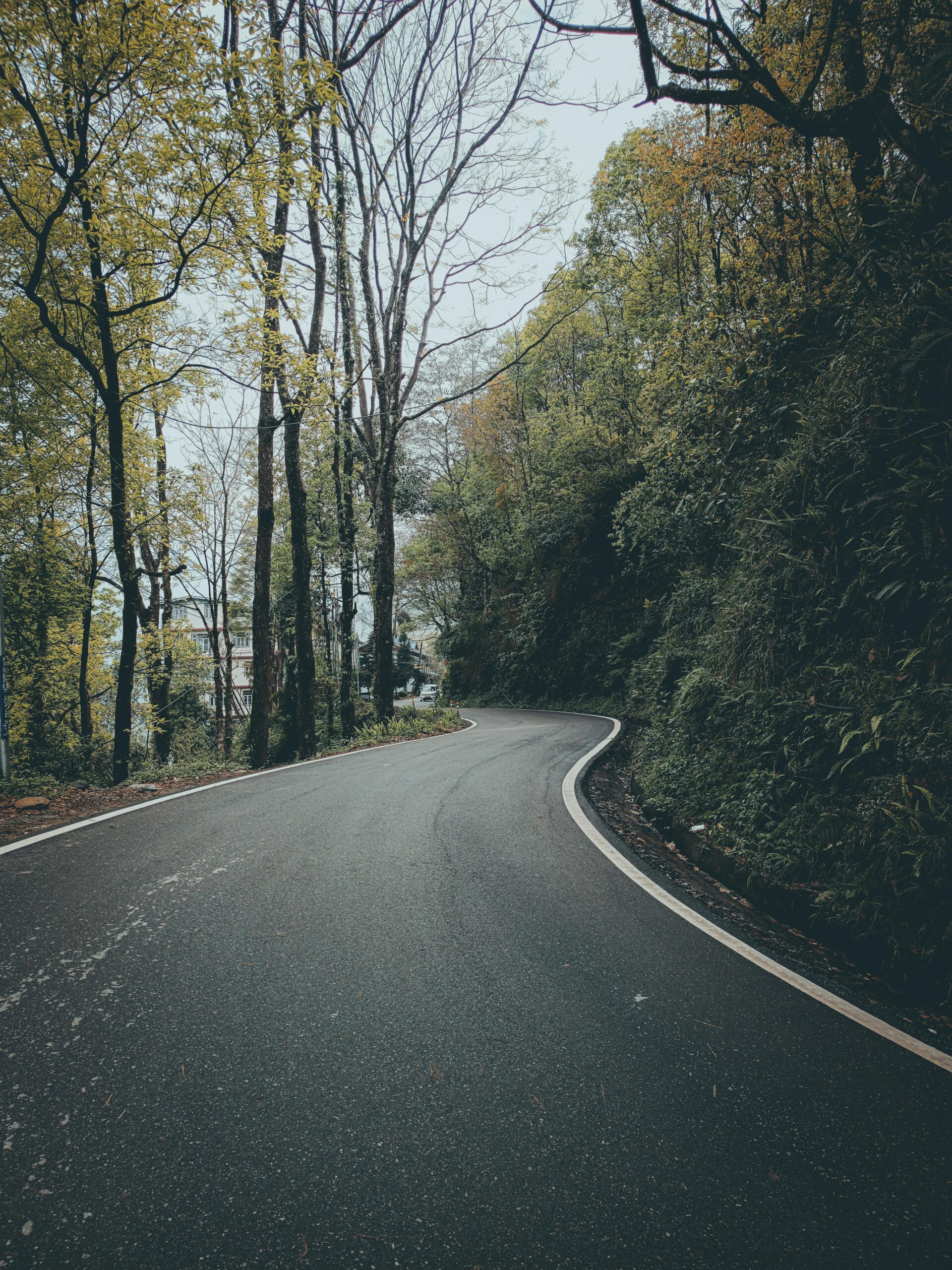 pexels igchandankumar 16835619